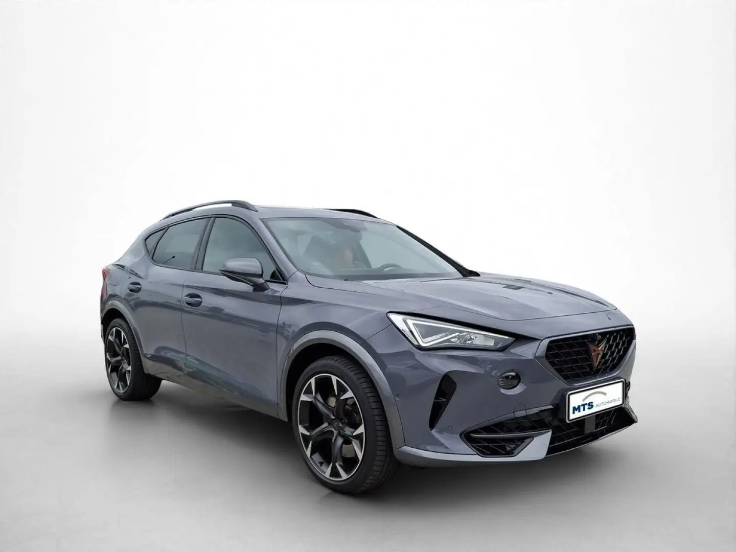 FORMENTOR 2.0 TSI VZ 4Drive 310PS Navi LED Pano