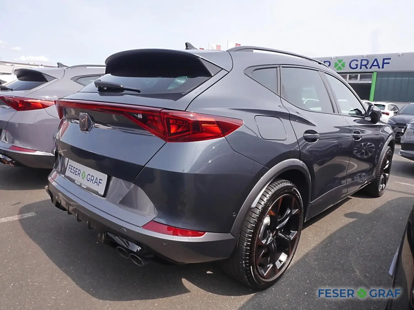 Formentor VZ 2.0 TSI 228kW 7-Gang-DSG ACC/LEDER/