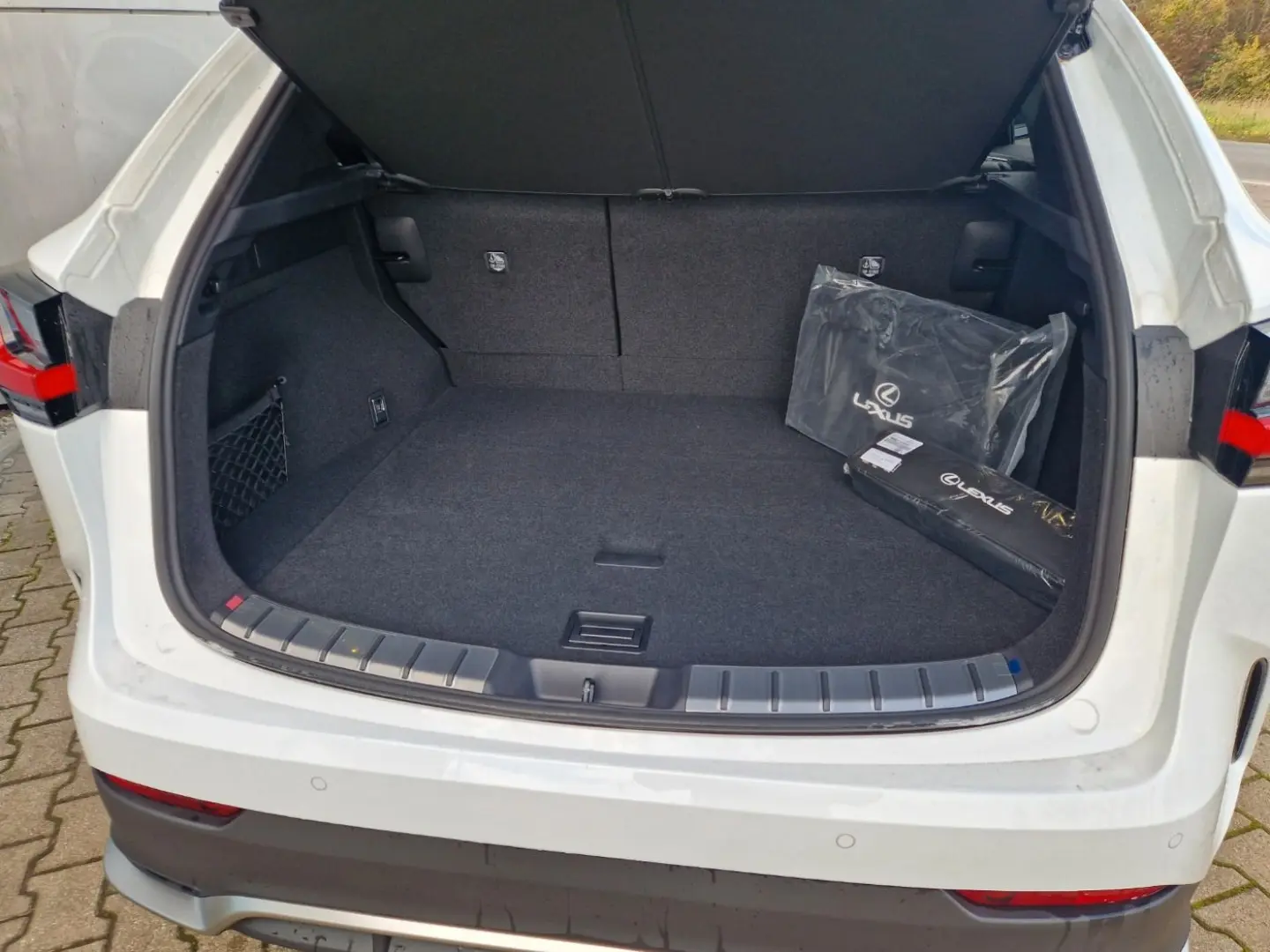 NX 350H F SPORT AWD Panoramadach / AhZv