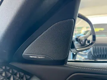X6 xDrive 40d M SPORT/LED/AHK/PANO-DA/H&K
