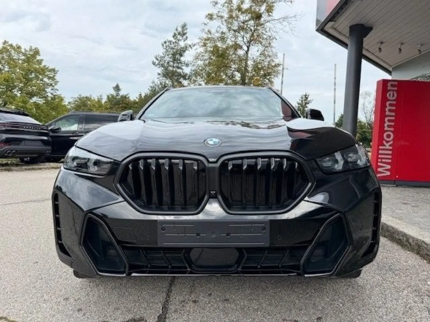 X6 xDrive30d/Full-Assistant/Pano/Iconic/AHK/22