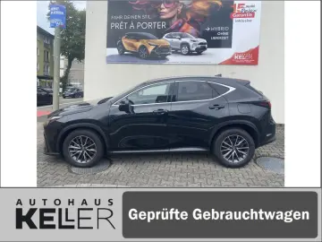 NX350h E-FOUR Executive/Technik-/Interieurpaket