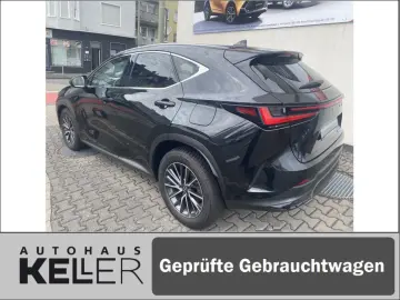 NX350h E-FOUR Executive/Technik-/Interieurpaket