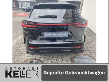 NX350h E-FOUR Executive/Technik-/Interieurpaket