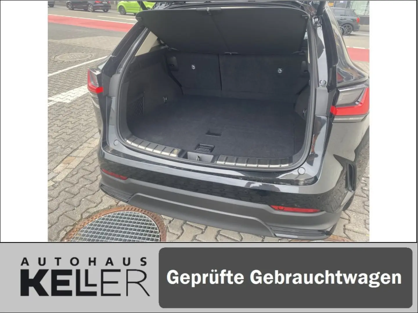NX350h E-FOUR Executive/Technik-/Interieurpaket
