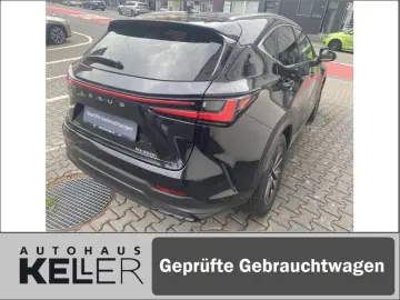 NX350h E-FOUR Executive/Technik-/Interieurpaket