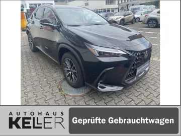 NX350h E-FOUR Executive/Technik-/Interieurpaket