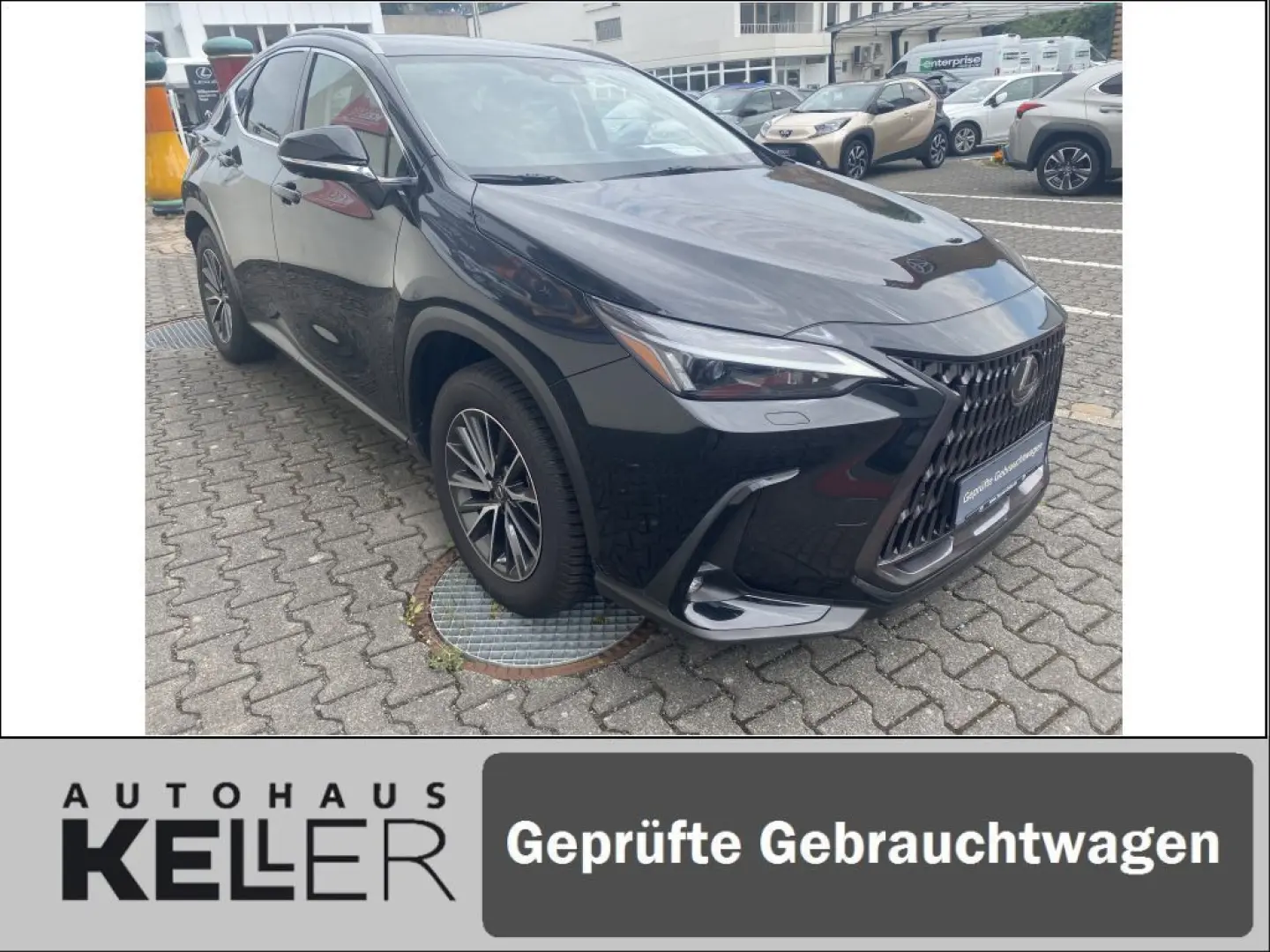 NX350h E-FOUR Executive/Technik-/Interieurpaket