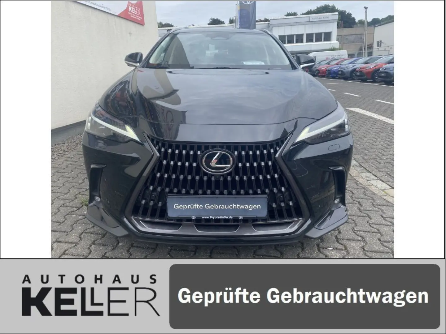NX350h E-FOUR Executive/Technik-/Interieurpaket
