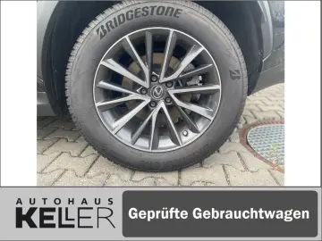 NX350h E-FOUR Executive/Technik-/Interieurpaket