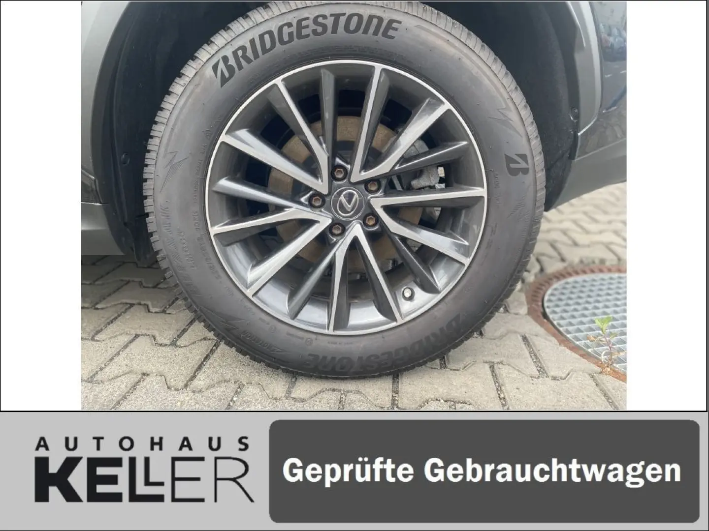 NX350h E-FOUR Executive/Technik-/Interieurpaket
