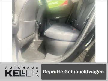NX350h E-FOUR Executive/Technik-/Interieurpaket