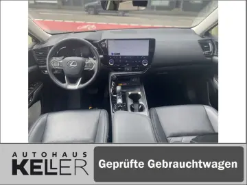 NX350h E-FOUR Executive/Technik-/Interieurpaket