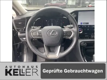 NX350h E-FOUR Executive/Technik-/Interieurpaket