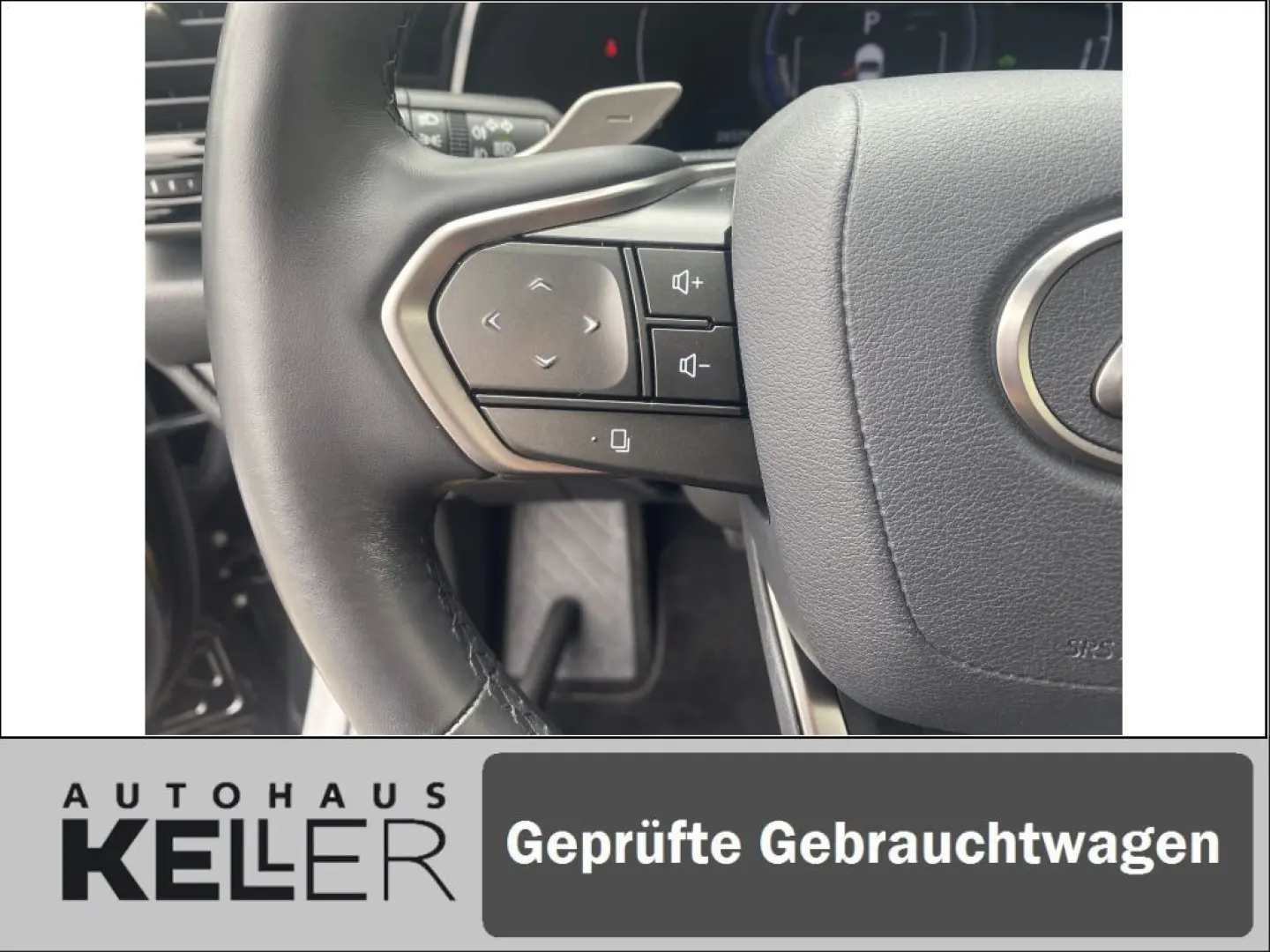 NX350h E-FOUR Executive/Technik-/Interieurpaket