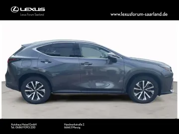 NX 450 h+ E-Four Business, Busin.Connect