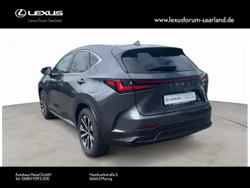 NX 450 h+ E-Four Business, Busin.Connect