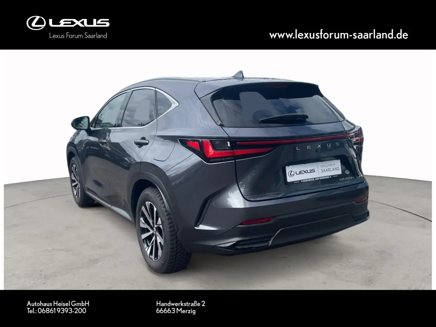 NX 450 h+ E-Four Business, Busin.Connect
