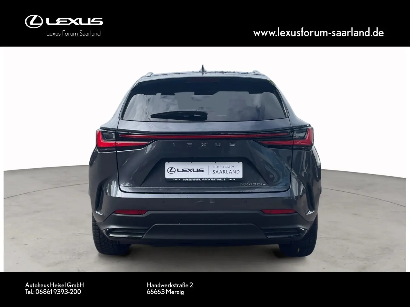 NX 450 h+ E-Four Business, Busin.Connect