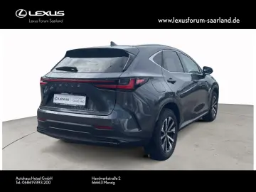 NX 450 h+ E-Four Business, Busin.Connect
