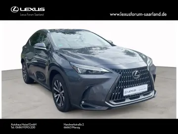 NX 450 h+ E-Four Business, Busin.Connect