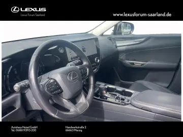 NX 450 h+ E-Four Business, Busin.Connect