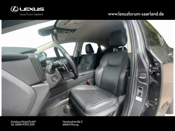 NX 450 h+ E-Four Business, Busin.Connect
