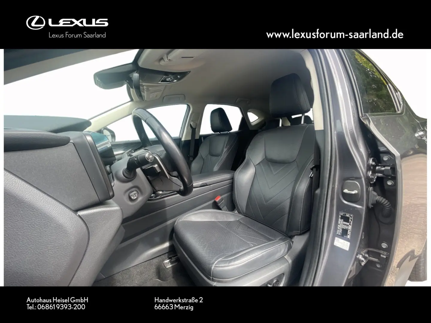 NX 450 h+ E-Four Business, Busin.Connect
