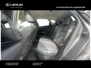NX 450 h+ E-Four Business, Busin.Connect