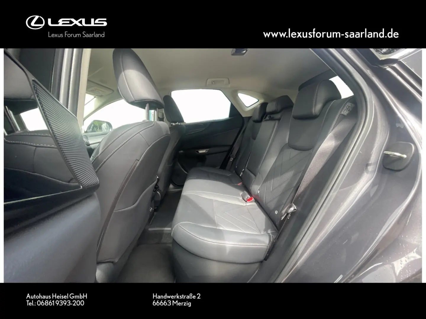 NX 450 h+ E-Four Business, Busin.Connect