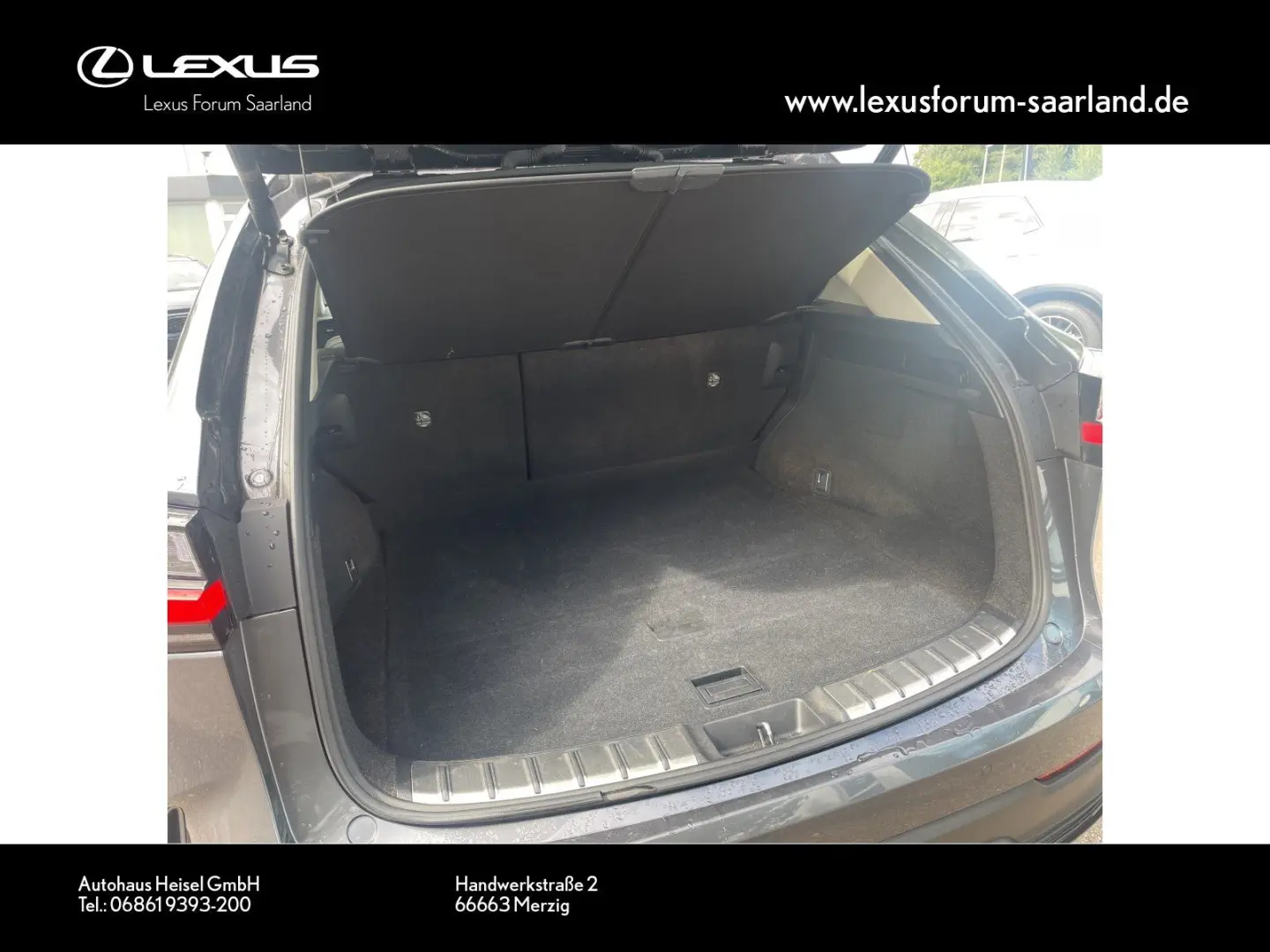 NX 450 h+ E-Four Business, Busin.Connect