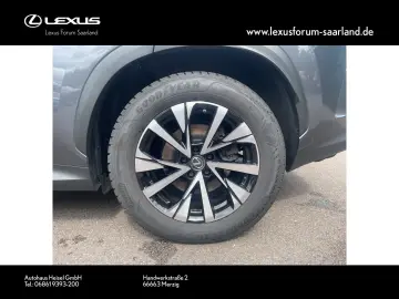 NX 450 h+ E-Four Business, Busin.Connect