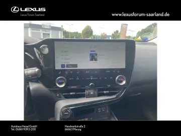NX 450 h+ E-Four Business, Busin.Connect