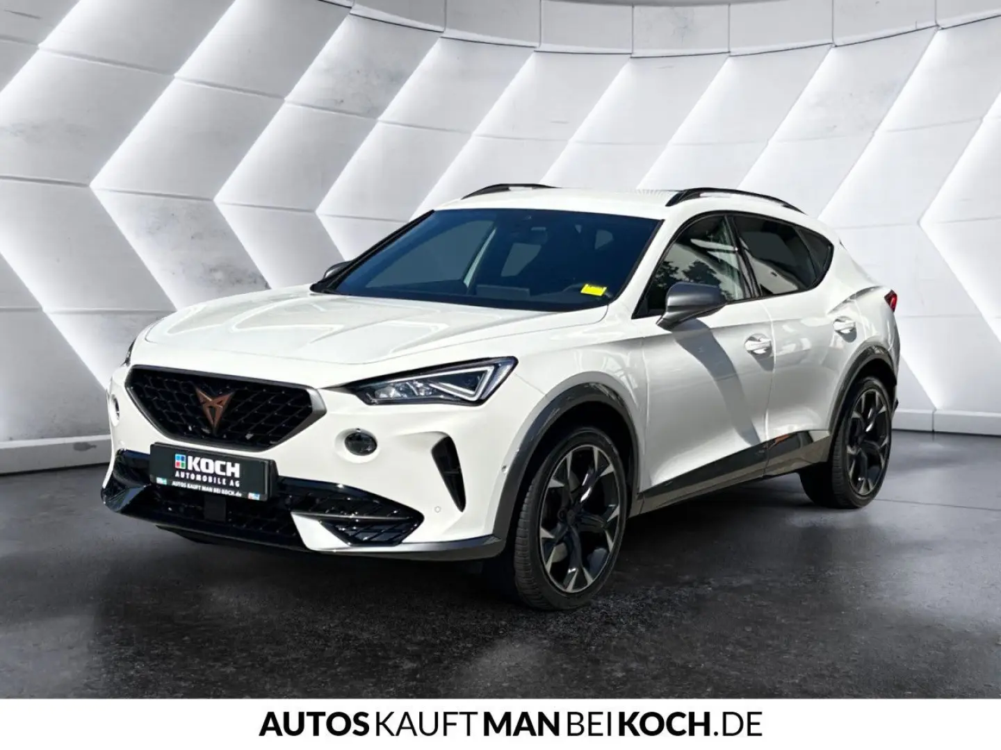 Formentor 2.0 TSI DSG 4DRIVE VZ PARKL ACC BEATS