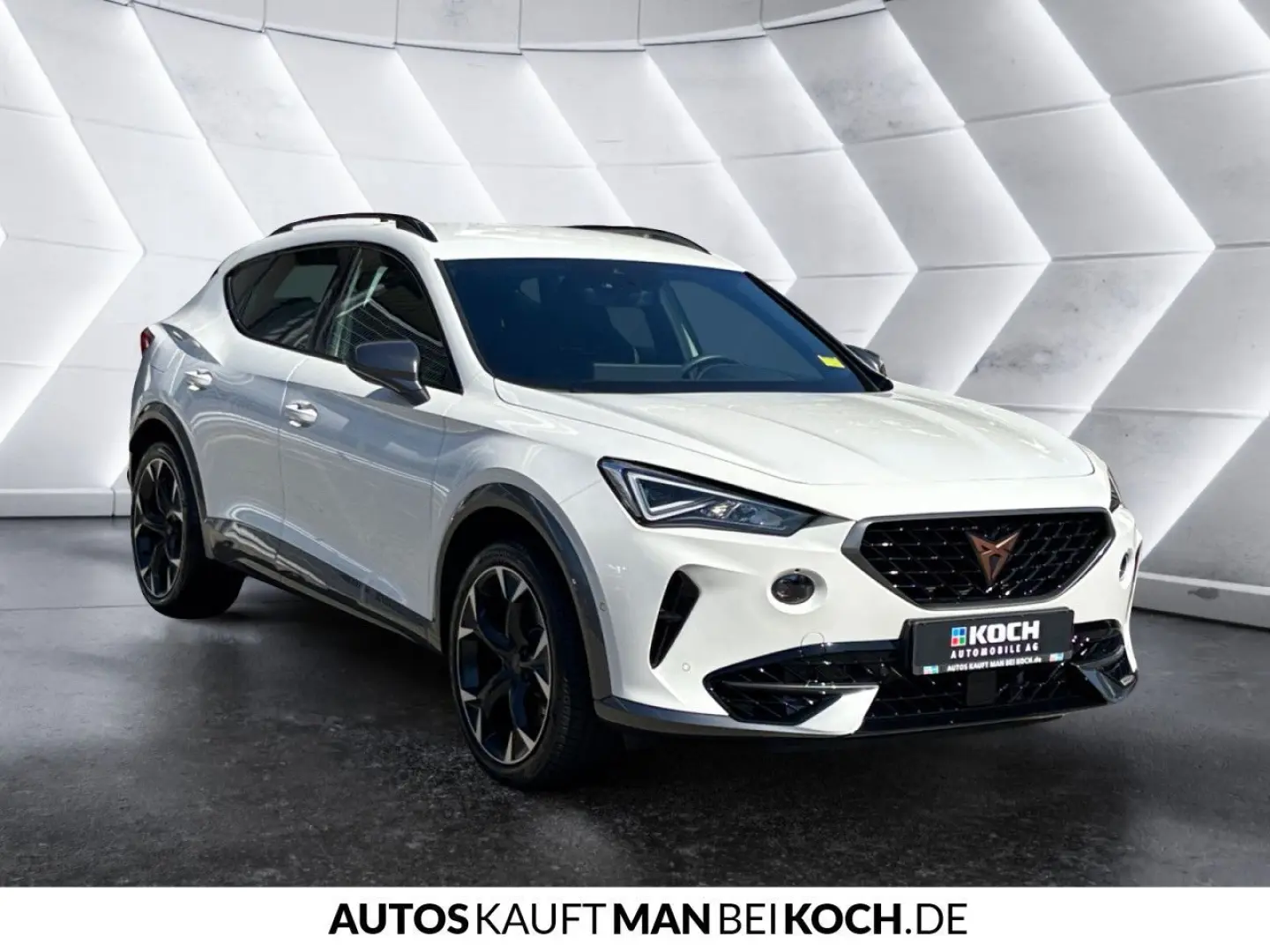 Formentor 2.0 TSI DSG 4DRIVE VZ PARKL ACC BEATS
