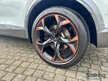 Formentor 2,0 TSI VZ 4DRIVE DSG Leder Akrapovic