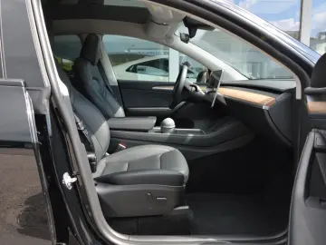 Model Y Performance Dual Motor AWD