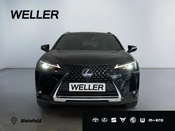 UX 250h Style Edition *Bi-LED*ACC*CAM*SHZ*CarPla