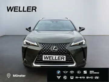 UX 300h Executive Line *LED*CAM*CarPlay*ACC*Navi