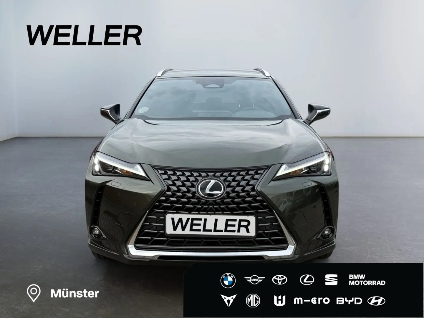 UX 300h Executive Line *LED*CAM*CarPlay*ACC*Navi