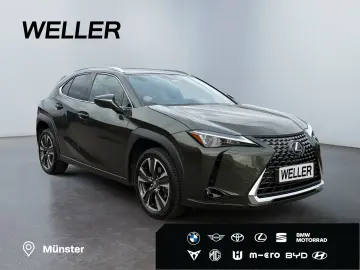 UX 300h Executive Line *LED*CAM*CarPlay*ACC*Navi