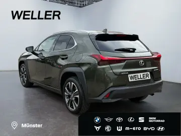 UX 300h Executive Line *LED*CAM*CarPlay*ACC*Navi