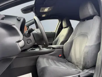 UX 300h Executive Line *LED*CAM*CarPlay*ACC*Navi