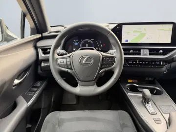 UX 300h Executive Line *LED*CAM*CarPlay*ACC*Navi