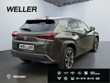 UX 300h Executive Line *LED*CAM*CarPlay*ACC*Navi