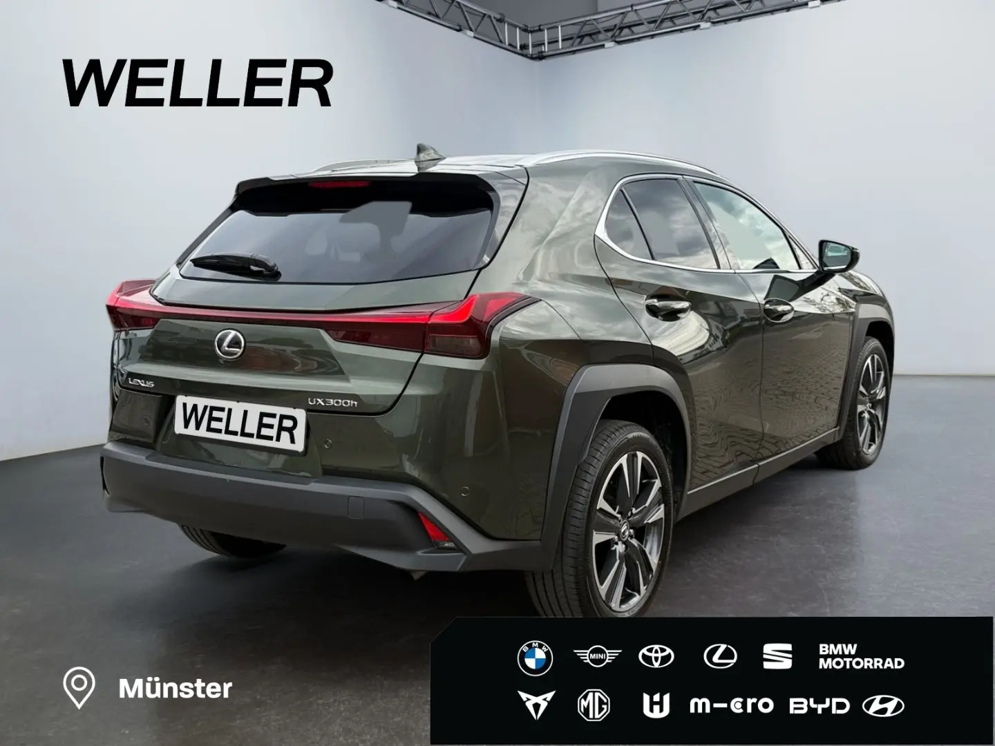 UX 300h Executive Line *LED*CAM*CarPlay*ACC*Navi