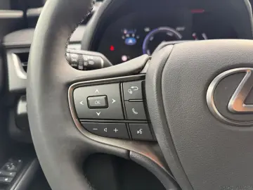 UX 300h Executive Line *LED*CAM*CarPlay*ACC*Navi