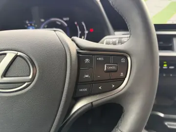 UX 300h Executive Line *LED*CAM*CarPlay*ACC*Navi