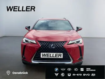 UX 250h Style Edition *Bi-LED*ACC*CAM*SHZ*CarPla