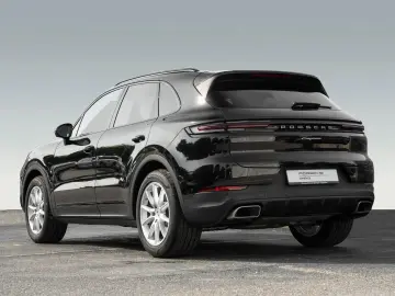 Cayenne Panorama Dachsystem 90 Liter Tank